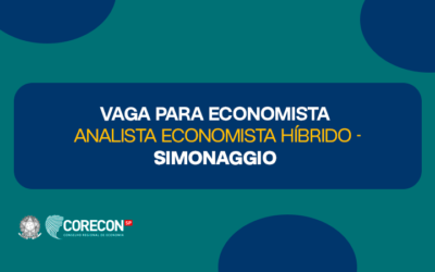 Analista Economista híbrido – Simonaggio
