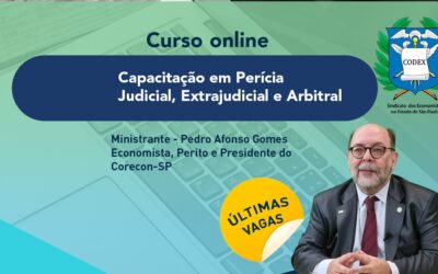 O Sindecon-SP está com inscrições abertas para uma capacitação online completa sobre “Perícia Judicial, Extrajudicial e Arbitral”