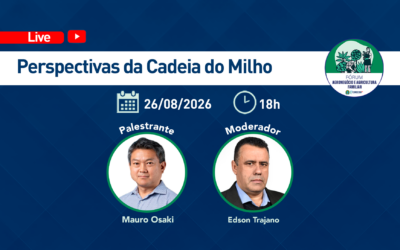 Cadeia do milho é tema de live do Corecon-SP nesta quarta-feira